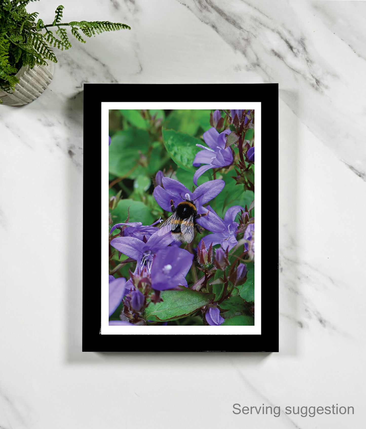 Yvonne the Bumblebee (portrait)