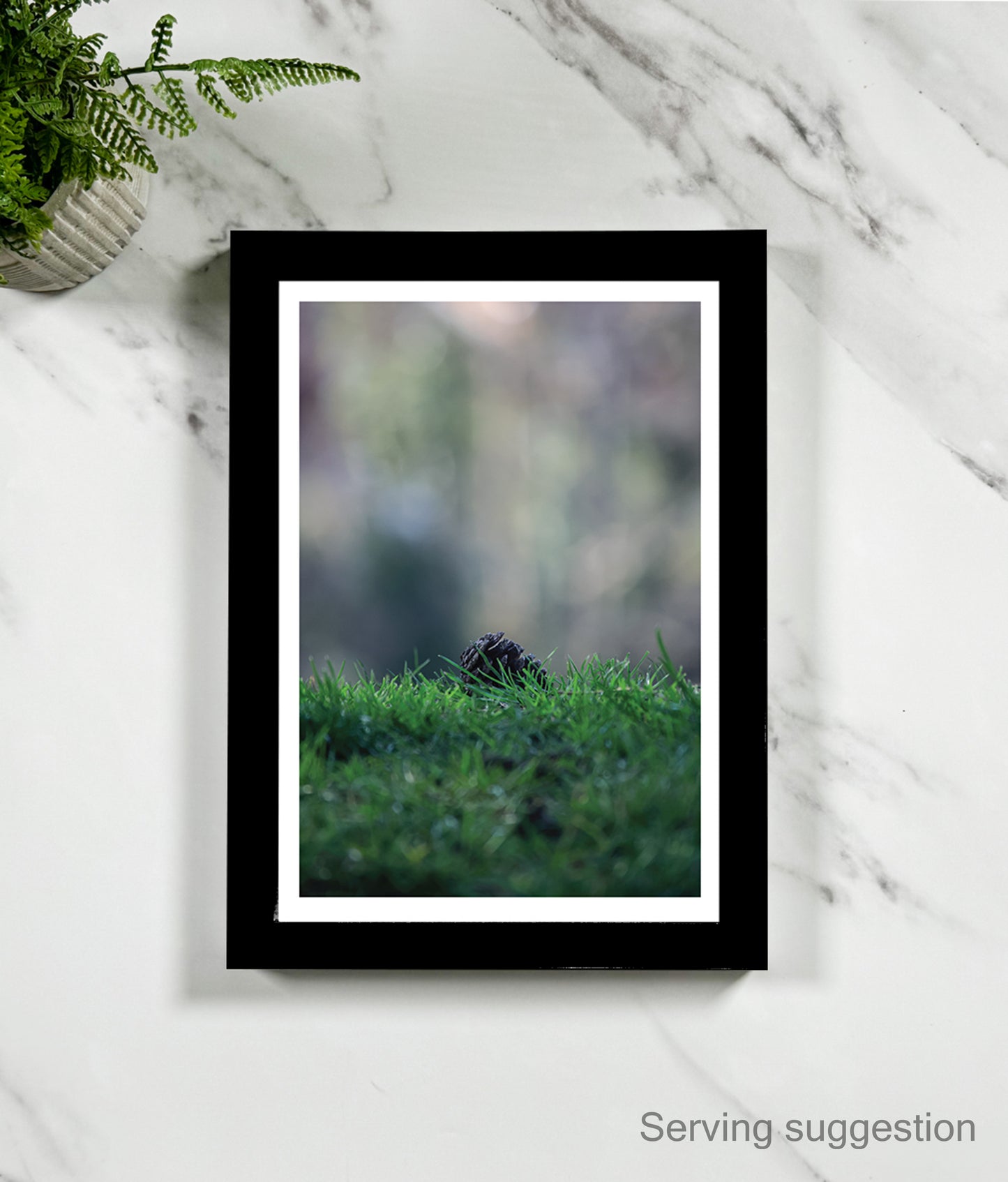 Pinecone Dreams (portrait)