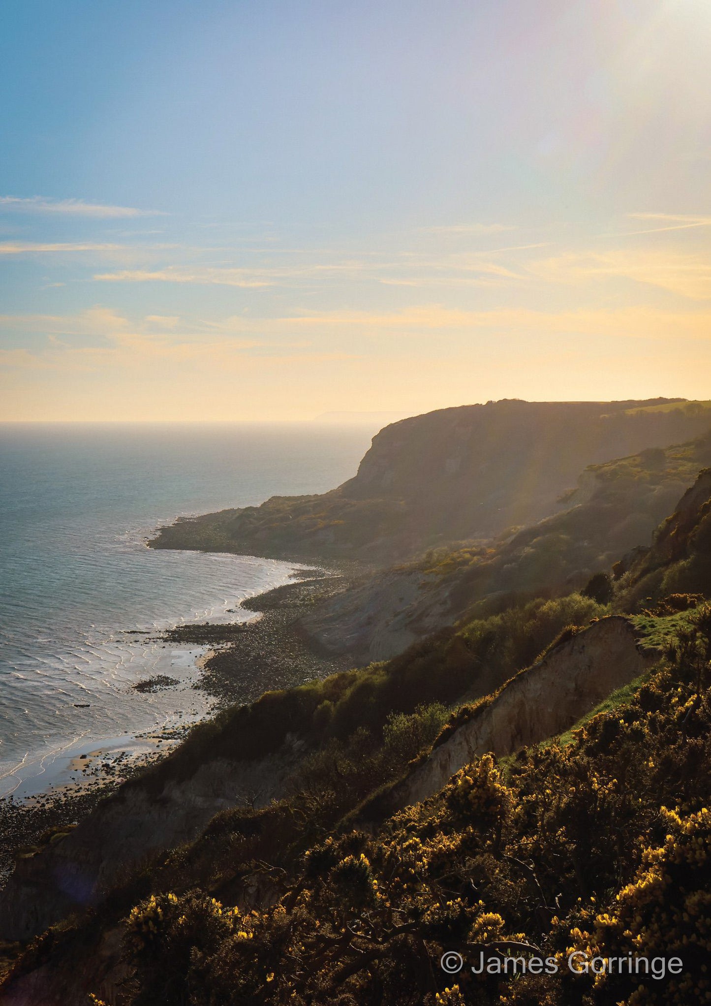 Fairlight Foresight (portrait)