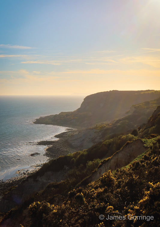 Fairlight Foresight (portrait)