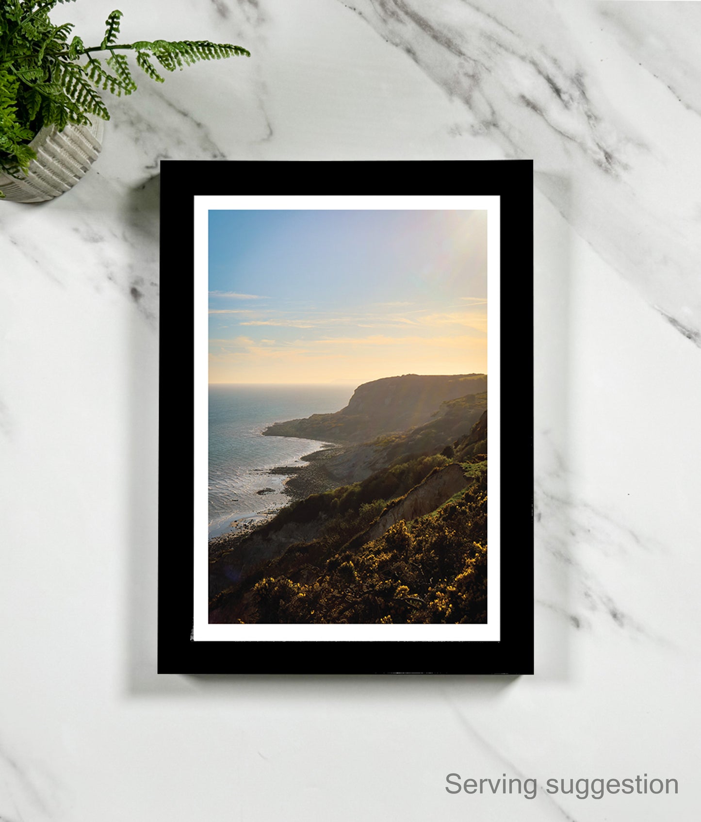 Fairlight Foresight (portrait)