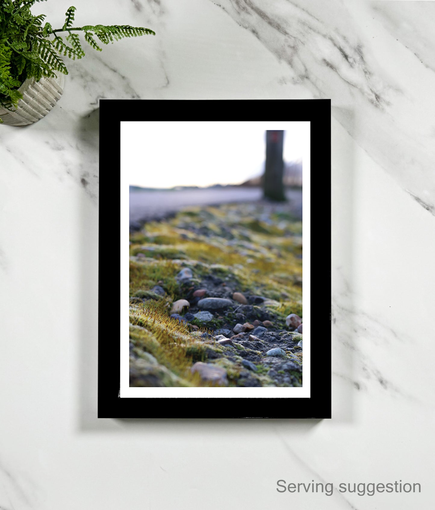 Mossy Takeover (portrait)