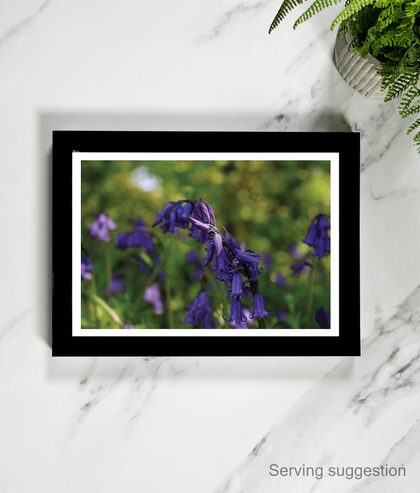 Bluebells Chiming (landscape)