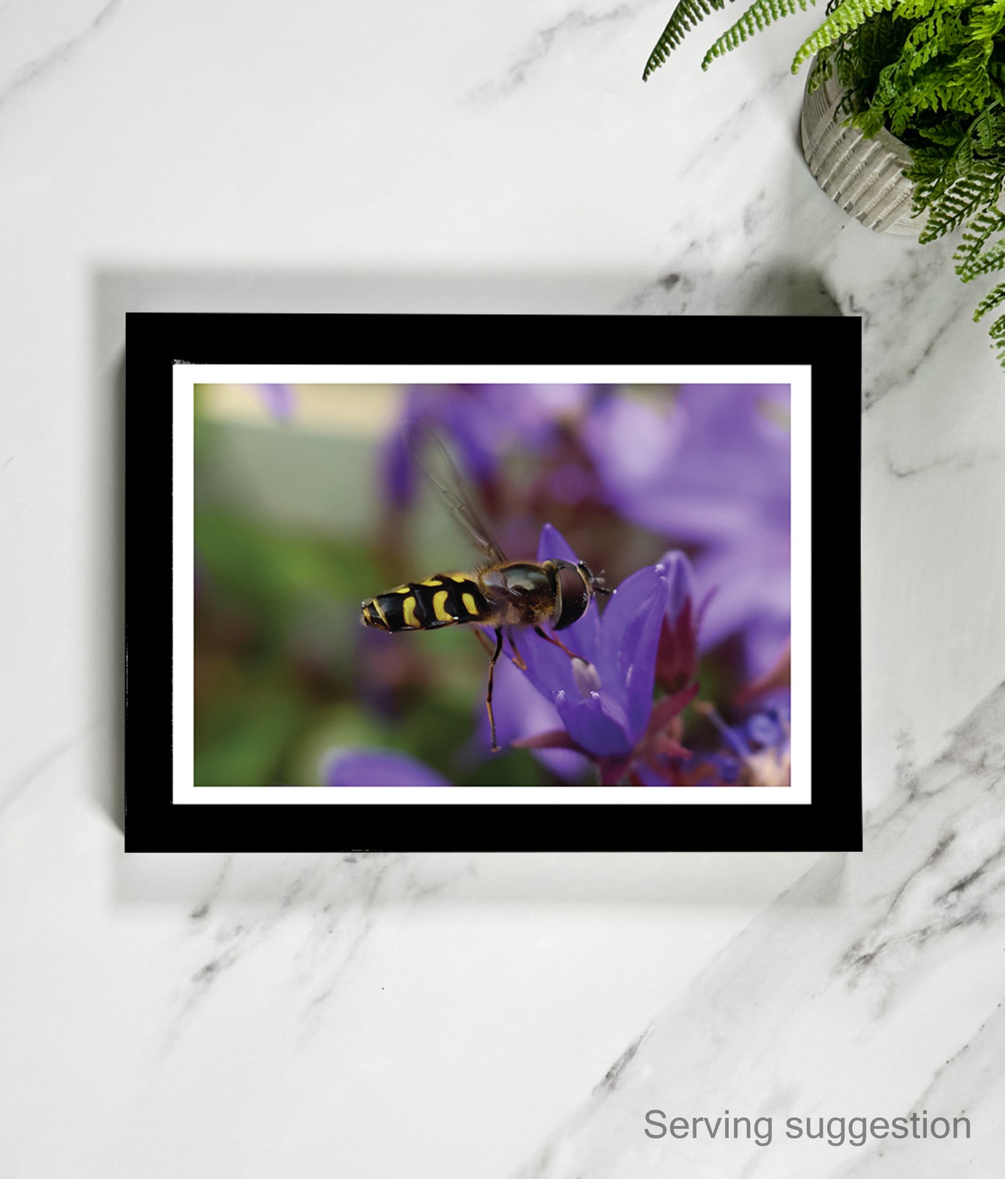 Jeremy the Hoverfly (landscape)