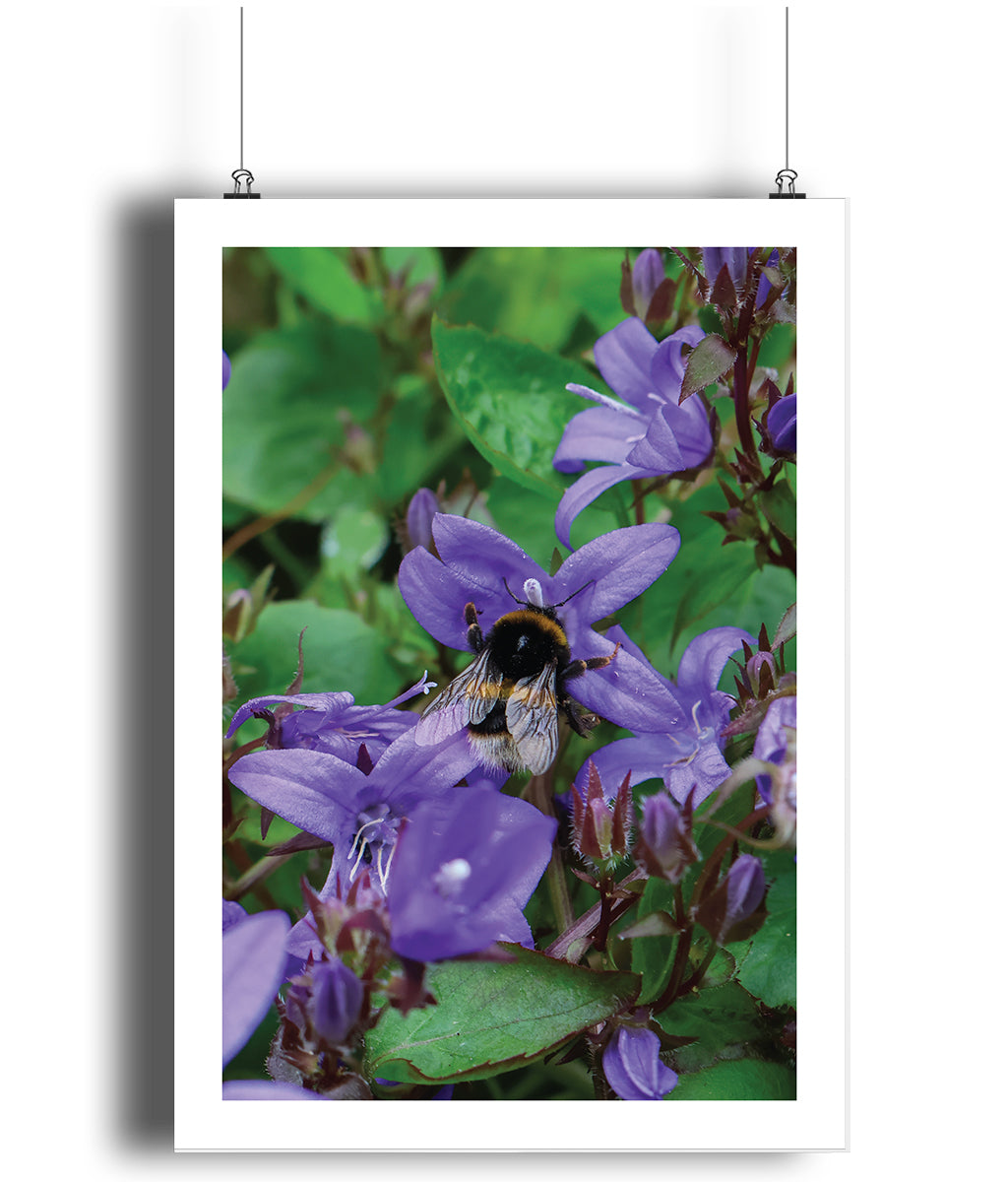 Yvonne the Bumblebee (portrait)