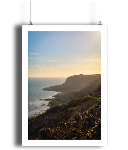 Fairlight Foresight (portrait)