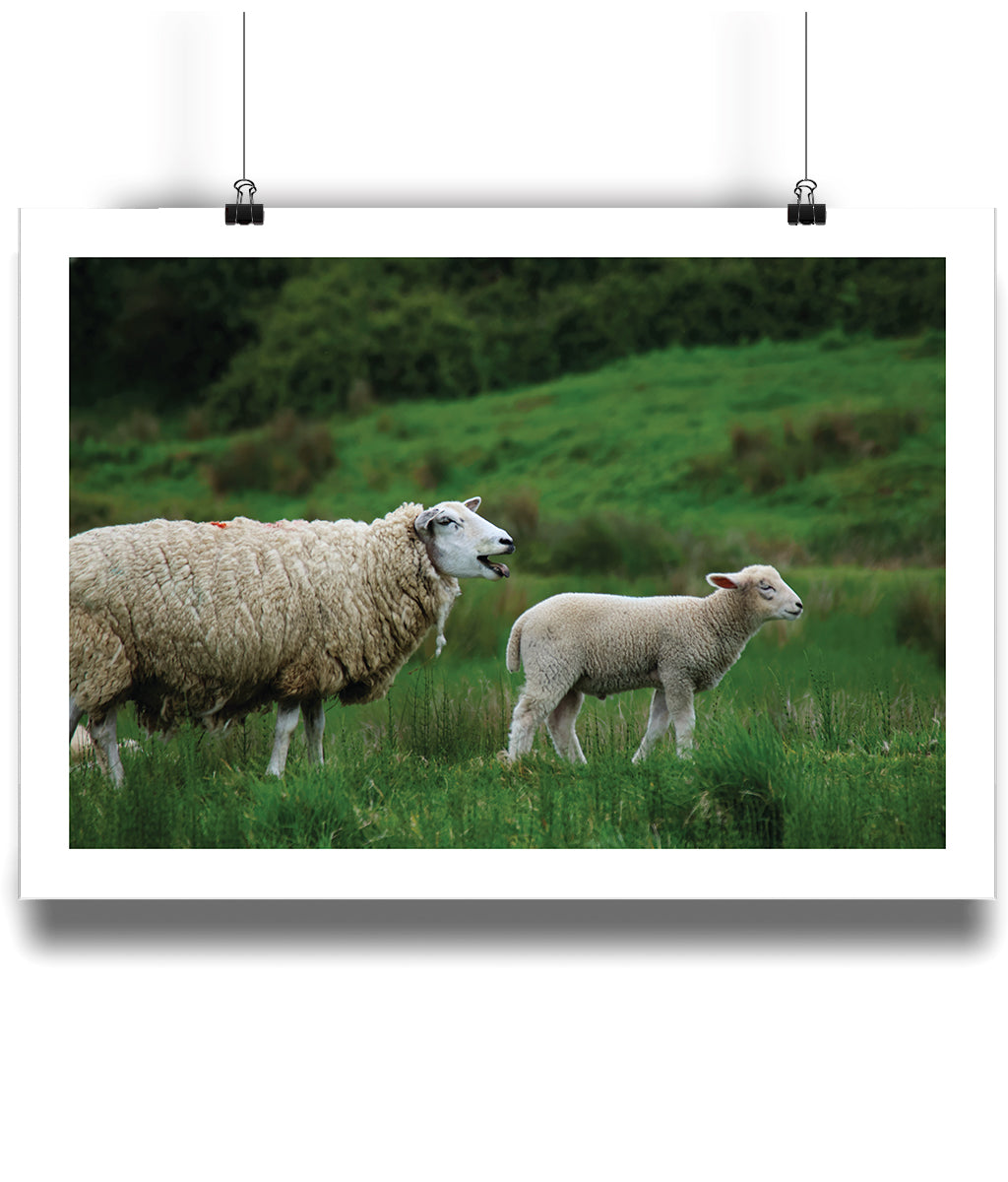 Follow The Herd (landscape)